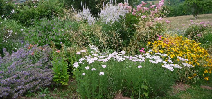 Cabane-perchee-jardin-de-Beyssin-jardin-8-1423061446.JPG