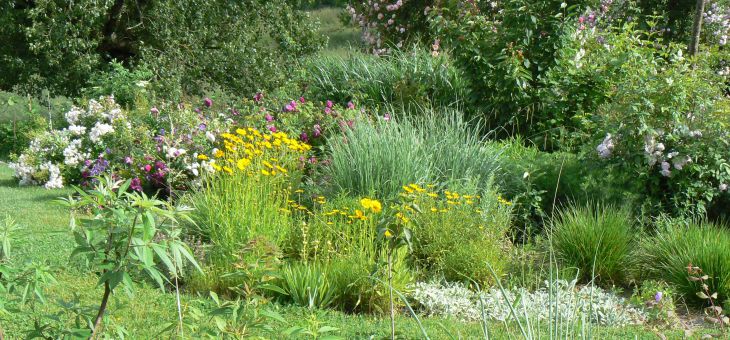 Cabane-perchee-jardin-de-Beyssin-jardin-9-1423061446.jpg